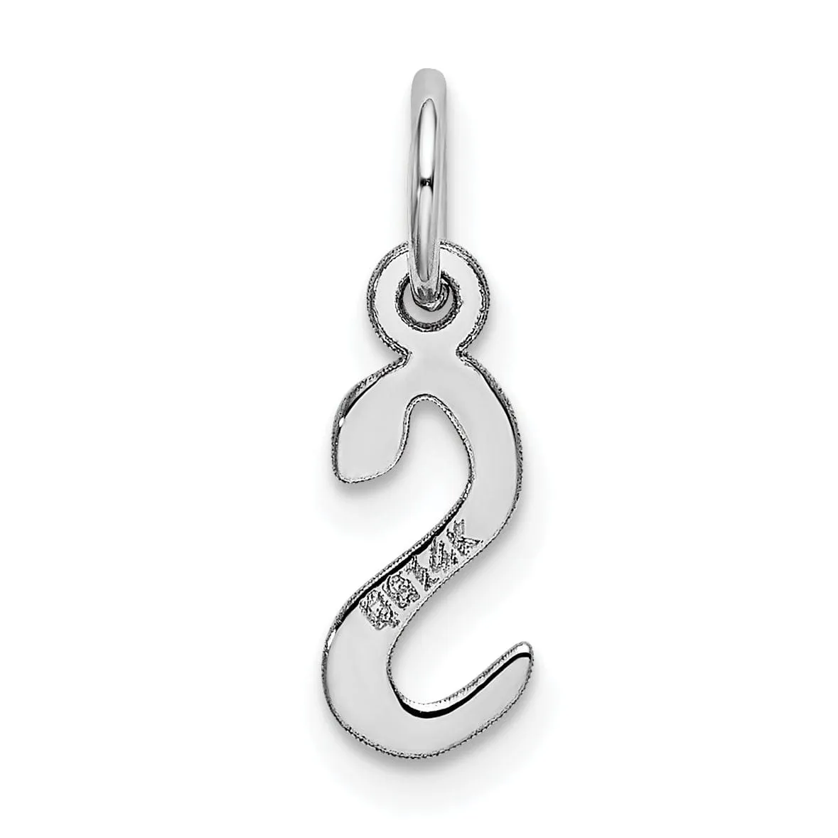 14k White Gold Small Slanted Block Letter S Initial Pendant