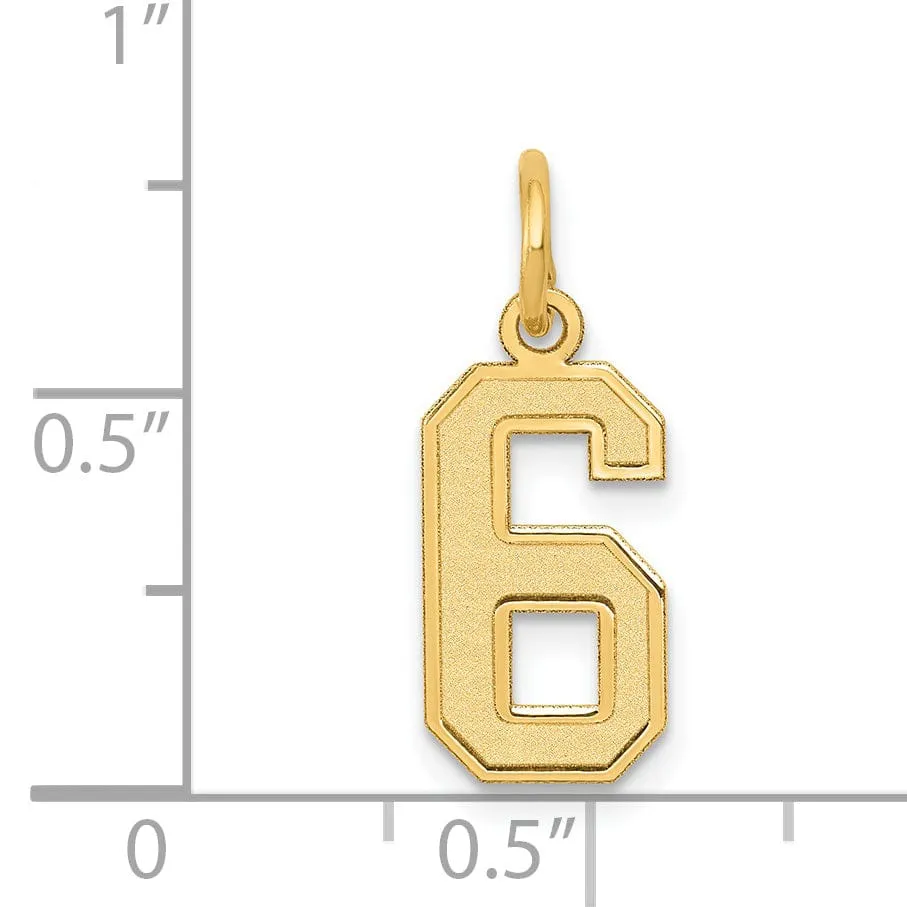 14k Yellow Gold Satin Brush Finish Small Size Number 6 Charm Pendant