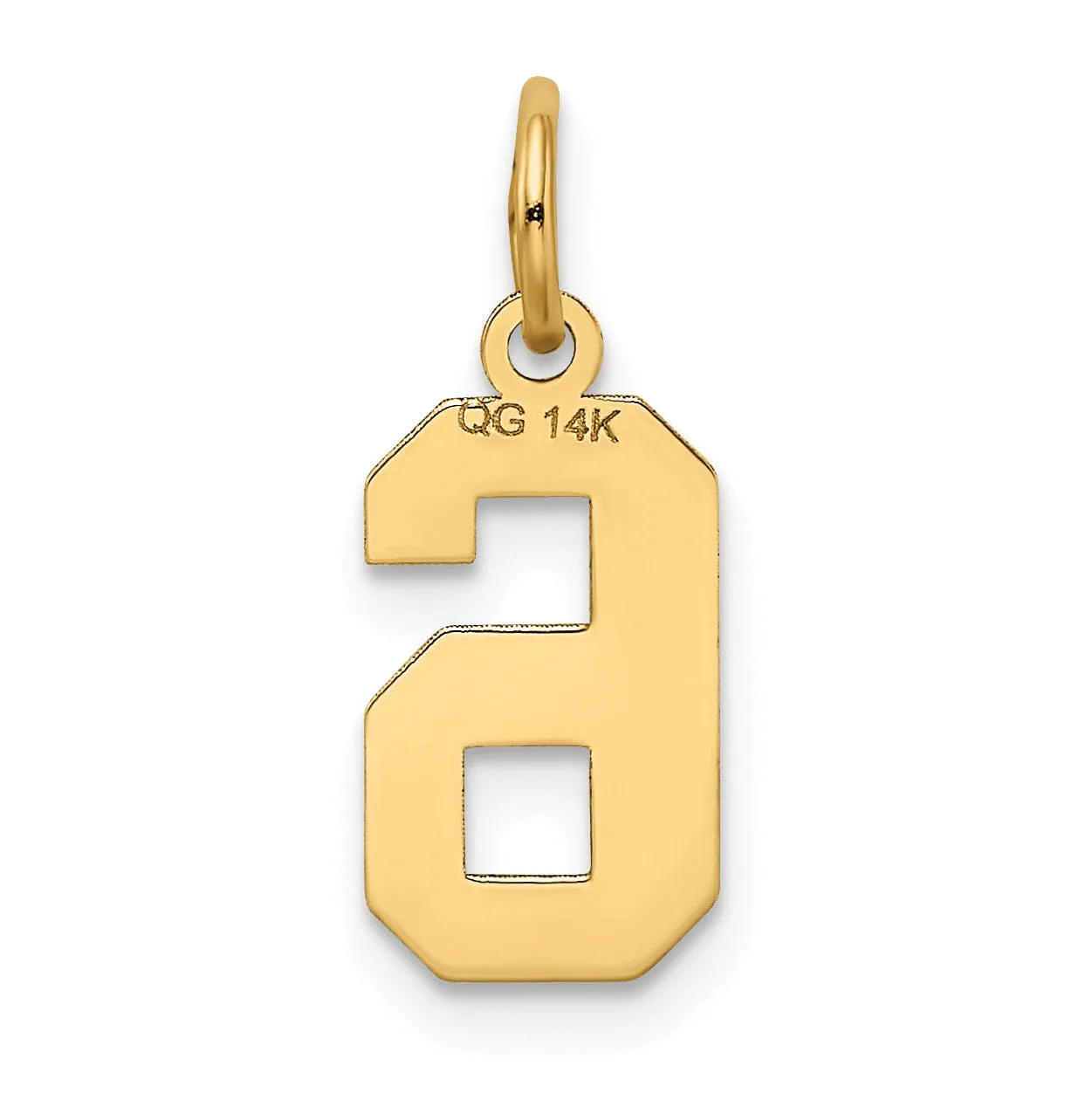 14k Yellow Gold Satin Brush Finish Small Size Number 6 Charm Pendant