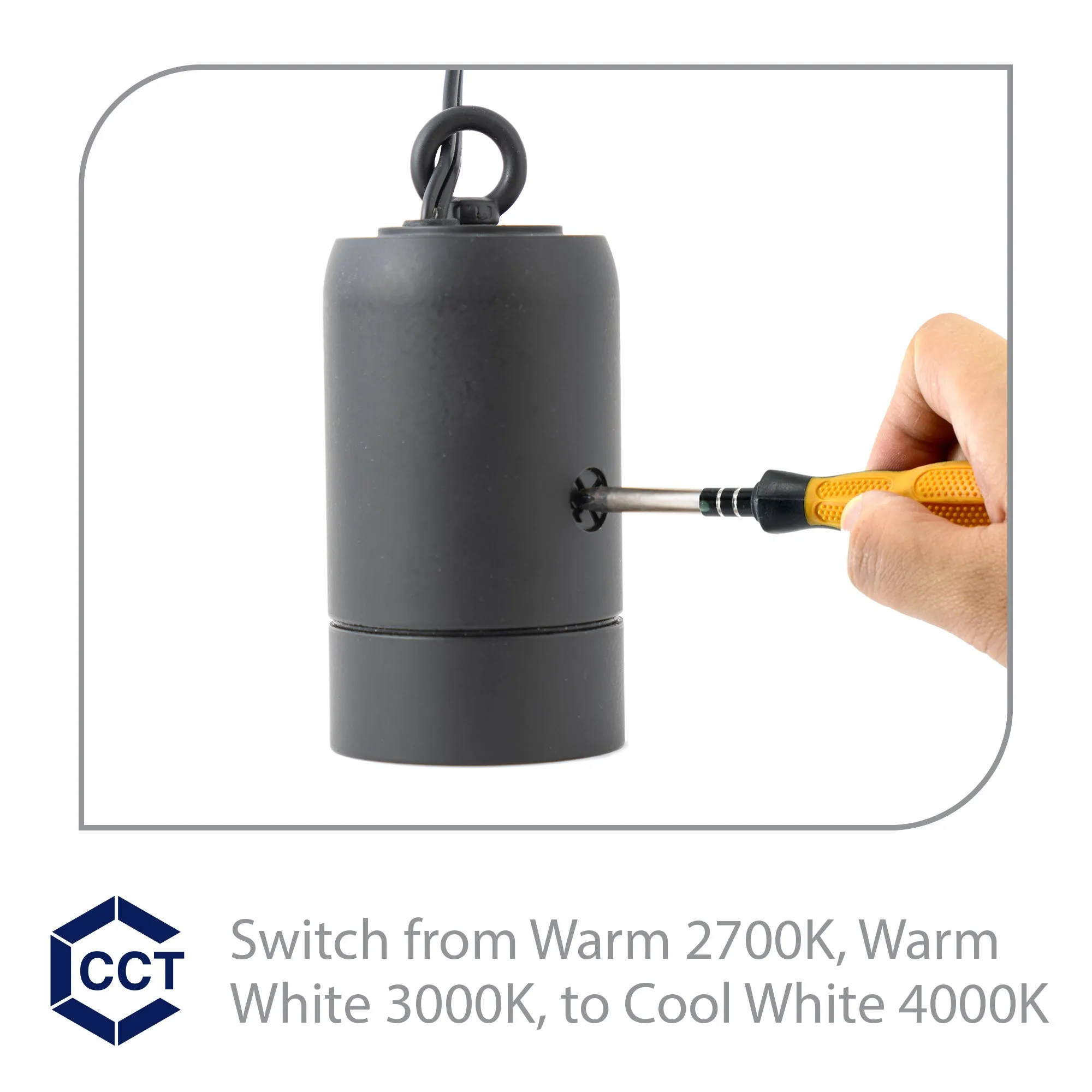 Estrella LED Indoor/Outdoor 12V Pendant with Slotted Cover