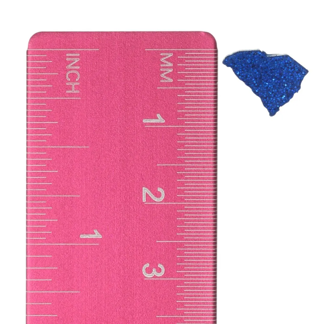 South Carolina Studs Hypoallergenic Earrings for Sensitive Ears Made with Plastic Posts